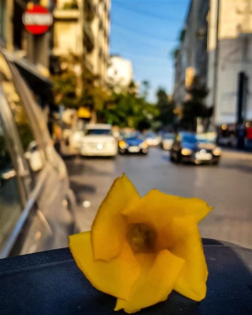 When you see me..Nothing can distract you,,👽🍃.. running streets... (Beirut, Lebanon)