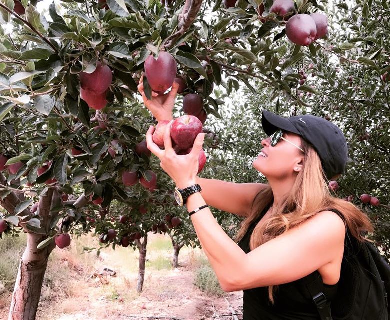 When you steal your favorite fruit while you are hiking in the mountains🍎� (El Arz)