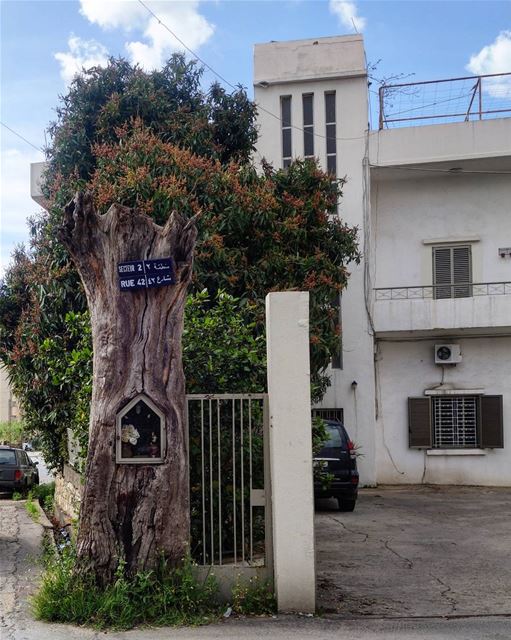 😍🤗 when you stumble across a gorgeous shrine hidden in a tree trunk... 🍃 (Jdeideh)