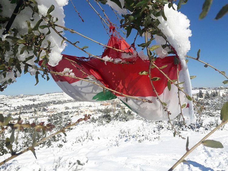 When you suddenly find 🇱🇧 the  flag of your  belovedcountry  kobayat ...