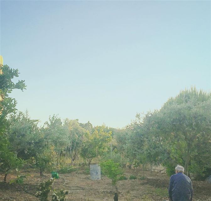 When your father is so proud of his work! 🍅🥒🍇🍋🏡 lebanon  rasnhash ... (Ra'S Nhash, Liban-Nord, Lebanon)