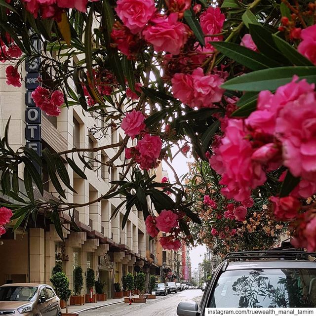 When your heart runsYour eyes followAnd when your eyes beatYour heart... (Hamra, Beyrouth, Lebanon)