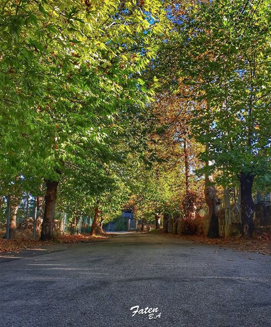 When your mornings begin in a perfect way...🍂🍁🍂👉Follow and Tag👈➡@ins (Aley Mountain)