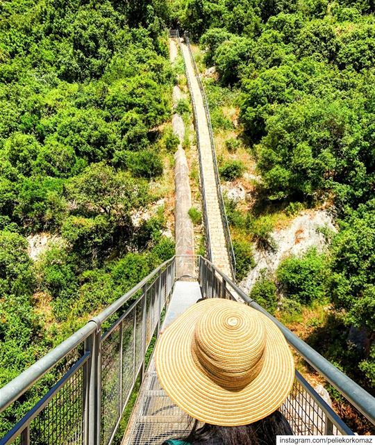 When your target is too far away from you, continue walking singing the... (Mseilha Walkaway - درب المسيلحة)