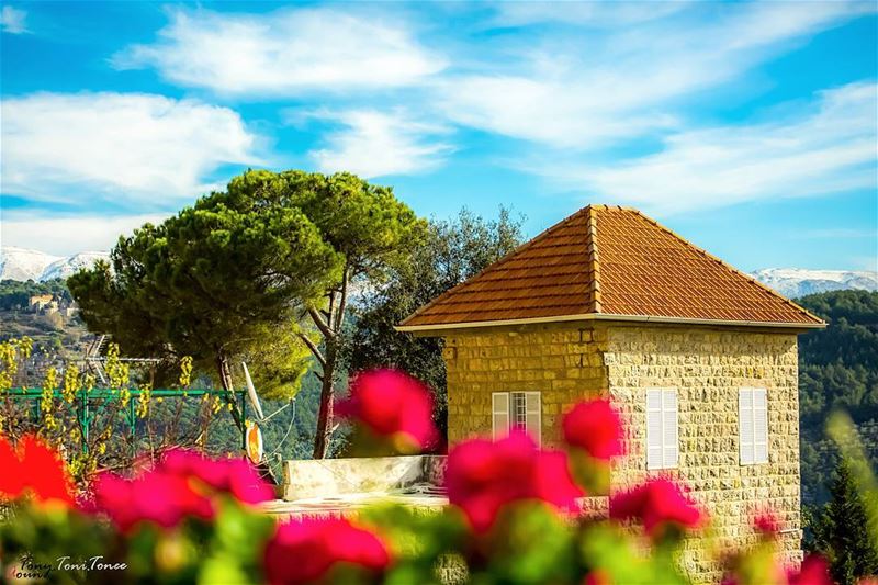 Whenever I go to the  chouf area I stop in  deirelqamar even if it was for... (Deïr El Qamar, Mont-Liban, Lebanon)