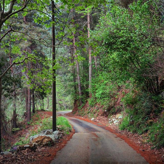 Where are you heading off to, this weekend? tgif  road  trees  nature ...