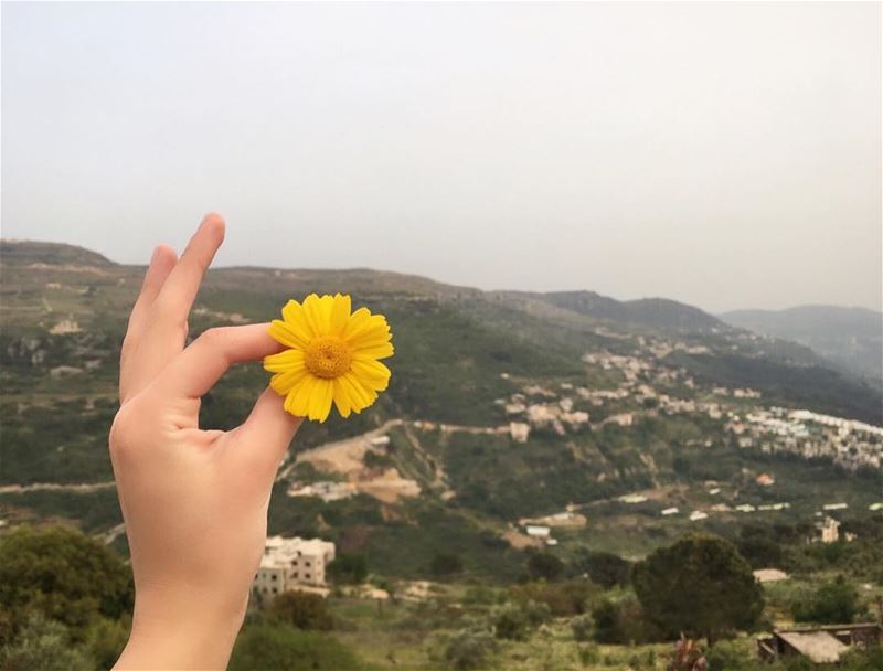 Where flowers bloom, so does hope 🌼  hope destinations lebanon... (Aley District)