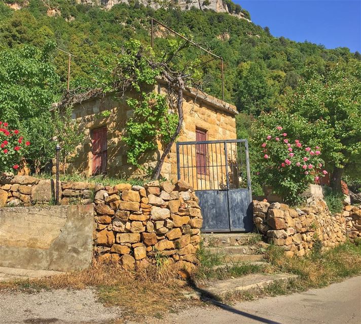 Where I'd rather be 🌳  whereidratherbe  mood  currentmood  secluded ... (Al Ghabat, Mont-Liban, Lebanon)