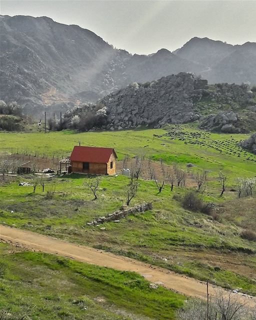 Where I want to be right now, away from all noises....  LiveLoveNature  ... (El Laqloûq, Mont-Liban, Lebanon)