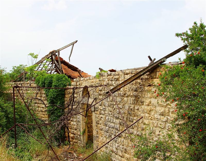 Where man disappears, nature reclaims its right 💔  goodmorning ........ (Chouf)