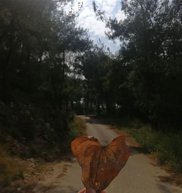 “ Where there is love there is life'' lebanon  livelovelebanon ... (Dmitt, Mont-Liban, Lebanon)