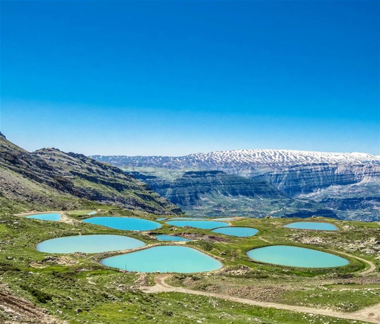 Where would you rather be right now?  outdoors  ponds  snow  stripes ...