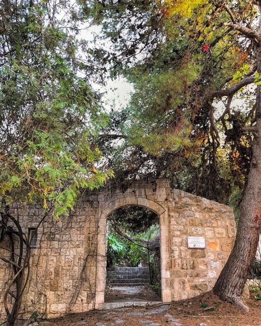 Where your grandparent's first date happened... ❤️ ... (Zouk Mosbeh)