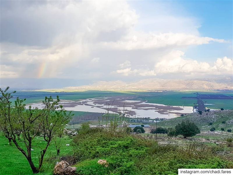 Wherever i go my heart will always beat for LEBANON!