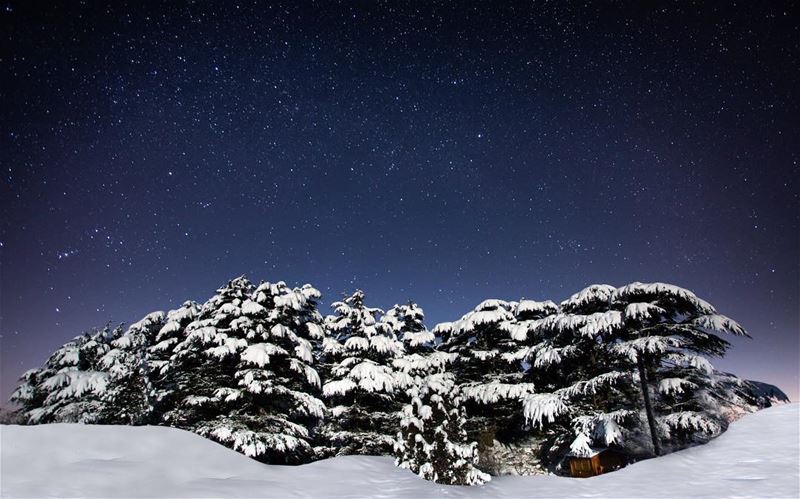 Wherever you are, you are in the right place.So let yourself enjoy the... (Tannourine Cedars Nature Reserve)