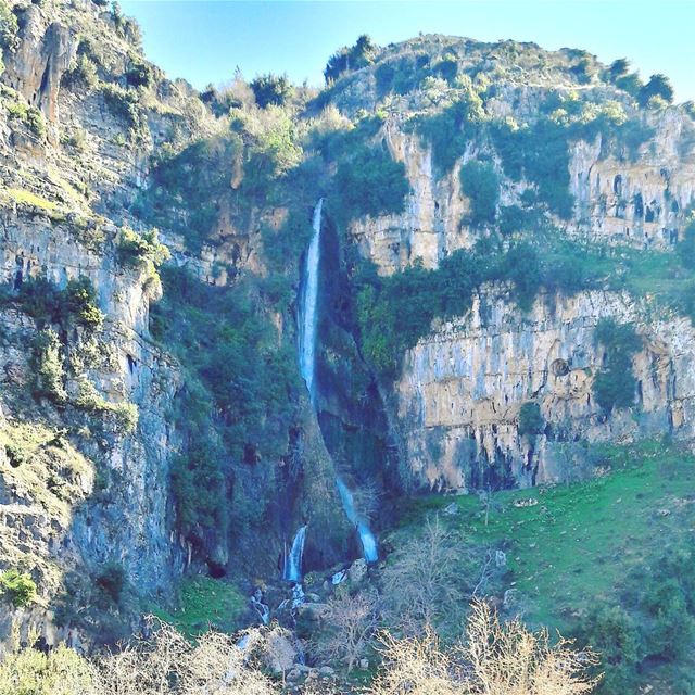 Wherever you find water, you'll surely find life.  LiveLoveAkkar ... (`Akkar Al `Atiqah, Liban-Nord, Lebanon)