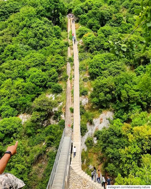 Wherever you go becomes a part of you somehow.. hiking  laborday ... (Mseilha Walkaway - درب المسيلحة)