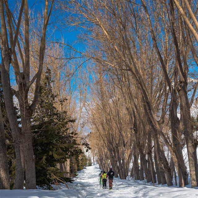 Which is more exciting: the Destination or the Journey? lebanon  laklouk ... (El Laklouk, Mont-Liban, Lebanon)