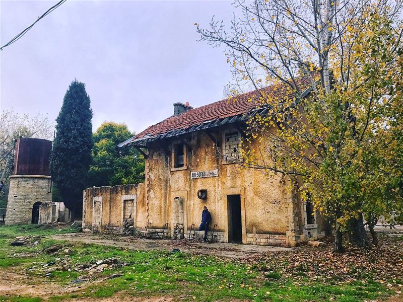 While everyone is busy with their lives, i'm just here waiting for a drive... (Sawfar, Mont-Liban, Lebanon)