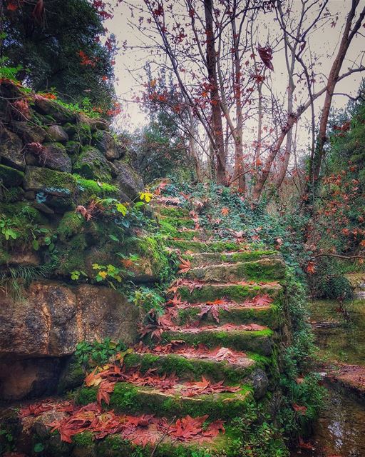 While everyone is enjoying the snow ❄️ I’m here again sitting at the... (Baakline, Mont-Liban, Lebanon)