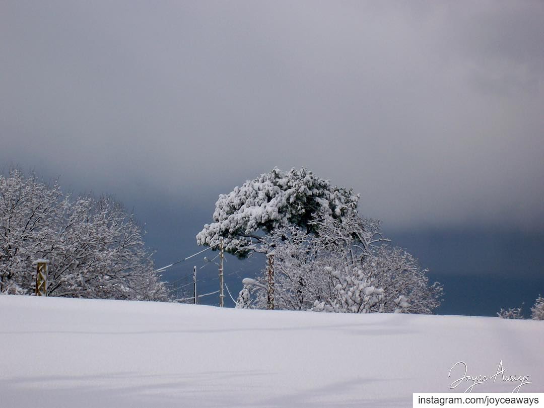 White Blanket ❄️🌨🌳⛄️.. chemlan  shimlan  lebanon  village lebanese ... (Chemlane, Mont-Liban, Lebanon)