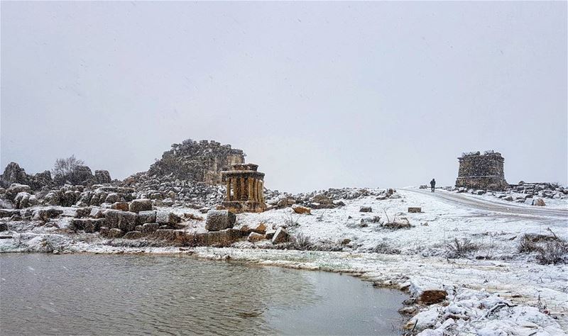 White cover.  livelovelebanon  meetlebanon ... (Kfardebian,Mount Lebanon,Lebanon)