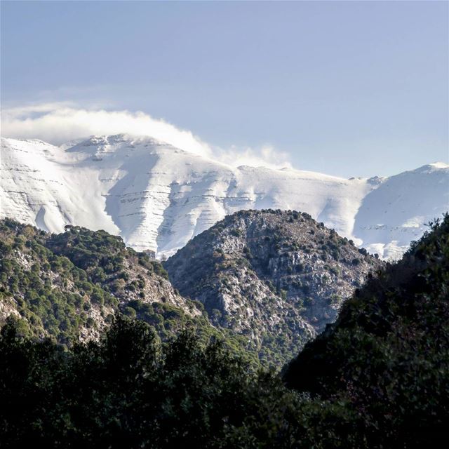 White & Green  lebanon  baskinta  sannine  snow  green  mountlebanon ... (Baskinta, Lebanon)