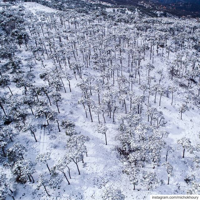 White invasion.... Lebanon  AboveLebanon  moodygrams  dji  Kdrone ... (Lebanon)