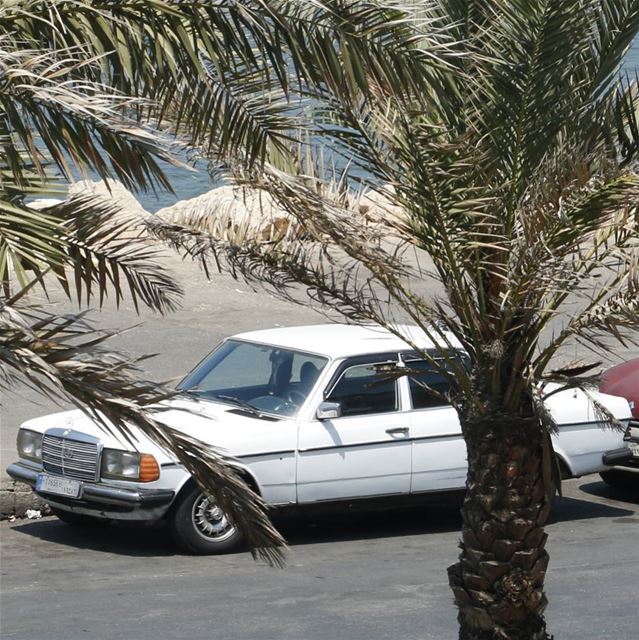 White Lebanese Boy in Tripoli... white  lebanese  vintage  classic ... (Tripoli, Lebanon)