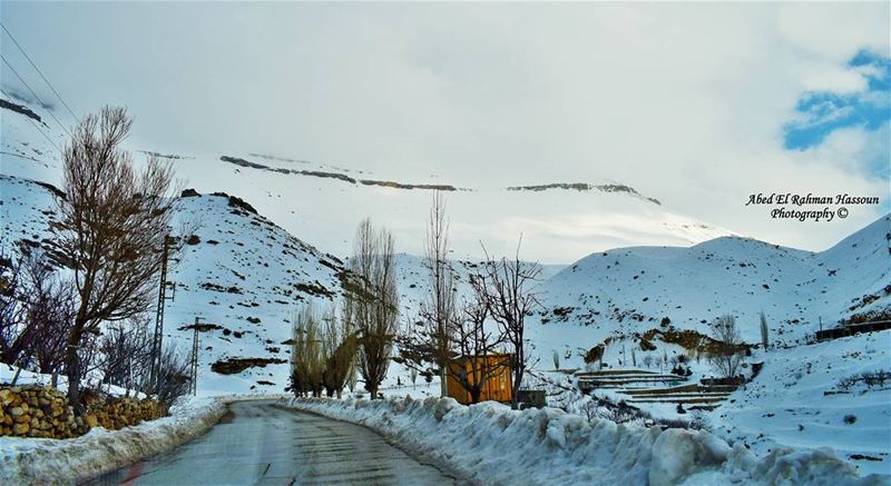 White morning❄❄❄ | Like my photography Facebook page ╰▶ Abed El Rahman... (The Cedars of Lebanon)