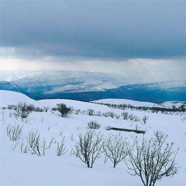 White morning ❄️.. lebanon  skitouring   instagood  webstapick ... (El Laqloûq, Mont-Liban, Lebanon)
