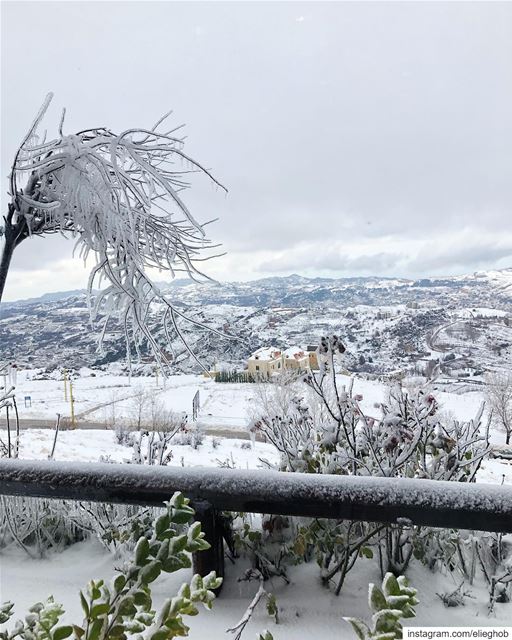 White morning❄️  saturday  snow ... (Fakra Kfarzebian Liban)