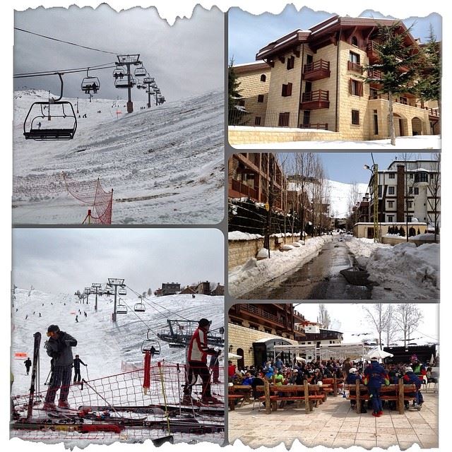  white nature snow Mzar intercontinental Lebanon...