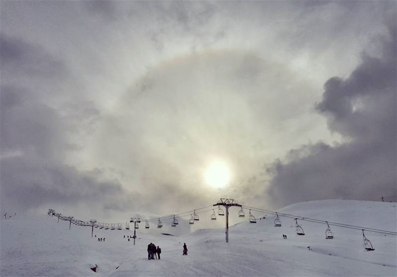 White on white  winter   season  snowboarding time  lebanon  faraya ...