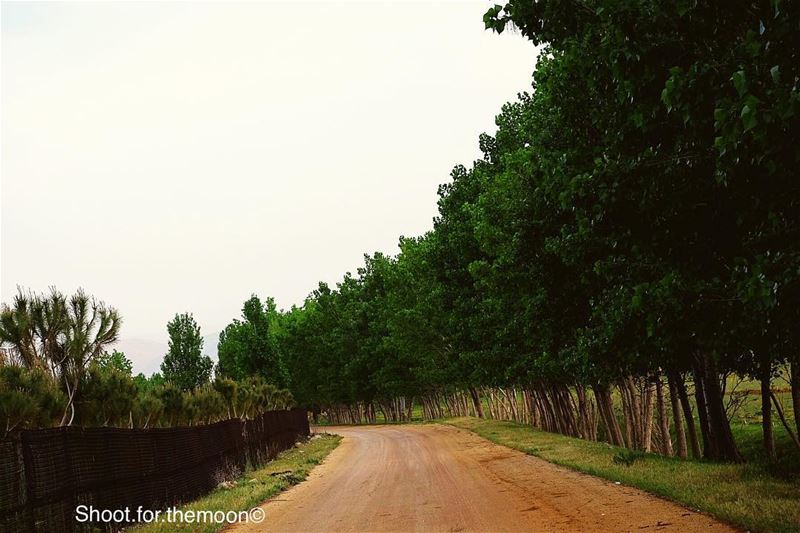 White  sky  its is gonna  rain.After a long day at  bekka  nice  weather ... (West Bekaa)