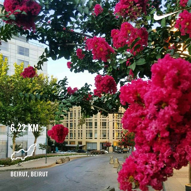 Who can resist!!!! naturebeauty ...🏃🌳🌸📸... beirut ........... (Beirut, Lebanon)