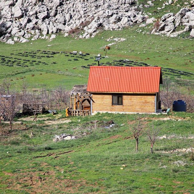 Who'd like to live there?.... livelovebeirut  wearelebanon ... (El Laqloûq, Mont-Liban, Lebanon)