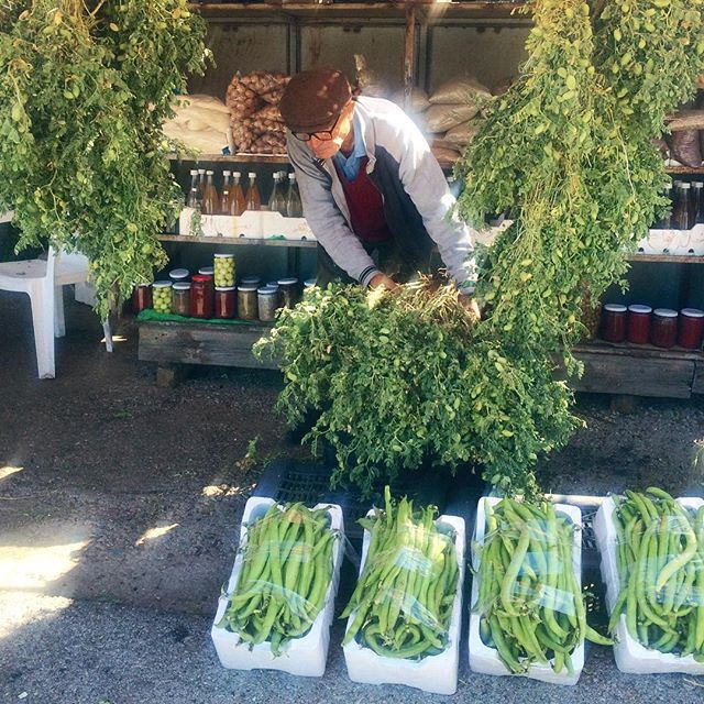 Who doesn't love the season of greens? Hommos akhdar, loz, janerek, foul & bazella ? 💚 Happy Sunday everyone! liveauthentic (Annaya-mar charbel)