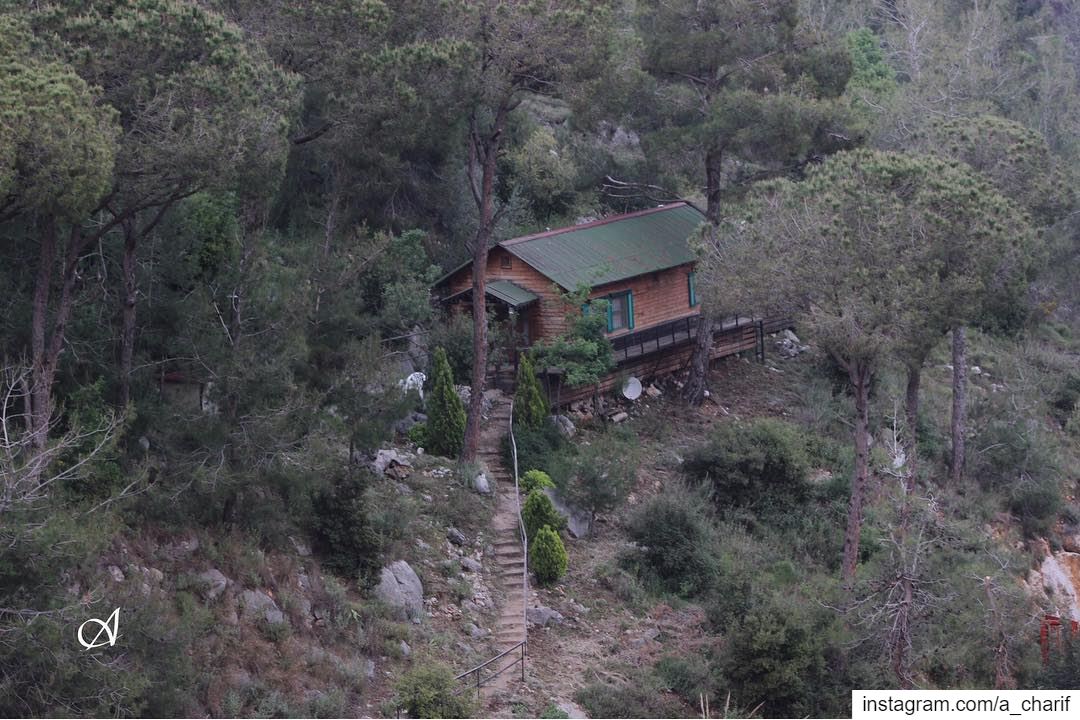 Who likes to live here? house  houseinthewoods  wood  forest  tree ... (Beit Meri, Mont-Liban, Lebanon)