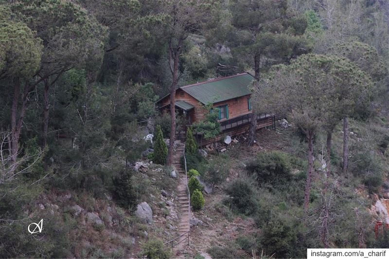 Who likes to live here? house  houseinthewoods  wood  forest  tree ... (Beit Meri, Mont-Liban, Lebanon)