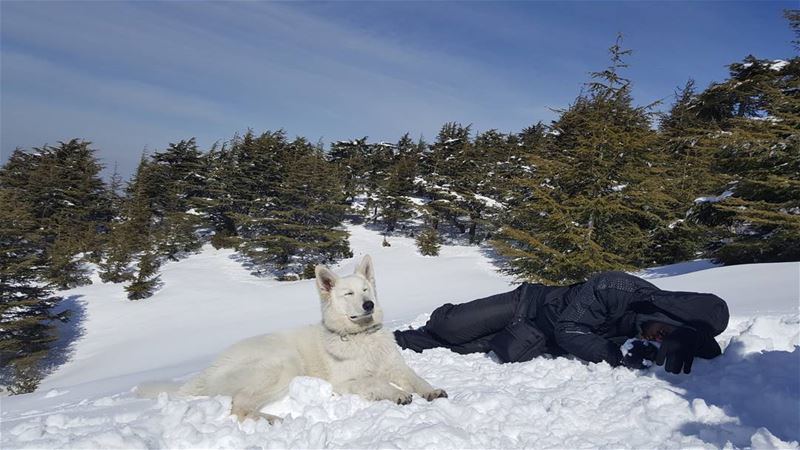 Who's guarding who? snow  dog  outdoors  hdr_captures  hdr_pics  hdr ...