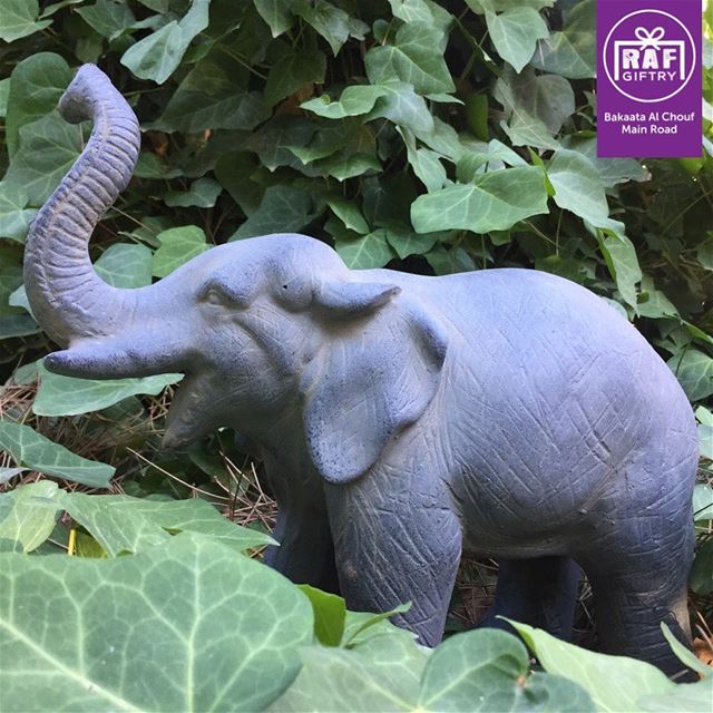 Who said elephants don't enjoy the Lebanese nature?! 🍀🐘 (Raf Giftry)