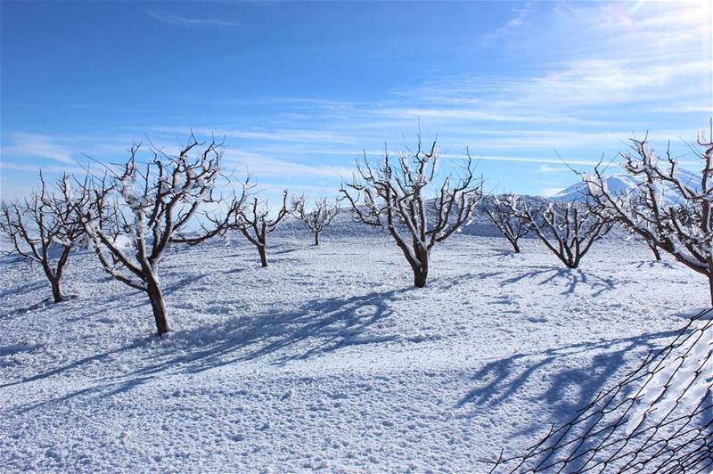 Who said paradise does not exist!.. paradise  lebanon  loveyouzanzoun ... (Lebanon)