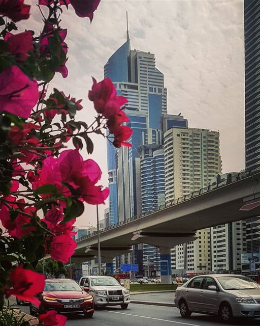 Who said We can't go out in Dubai's streets??Let Your Legs Have No... (Dubai, United Arab Emirates)