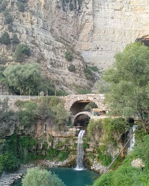 Who wants to go for a swim lebanon  naturelovers ...