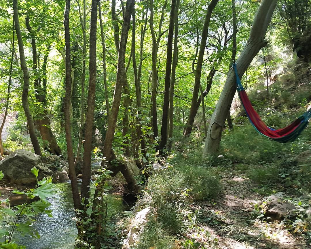 Who wants to hang hammock   river  peaceful  unknownlocation  hiddengem...