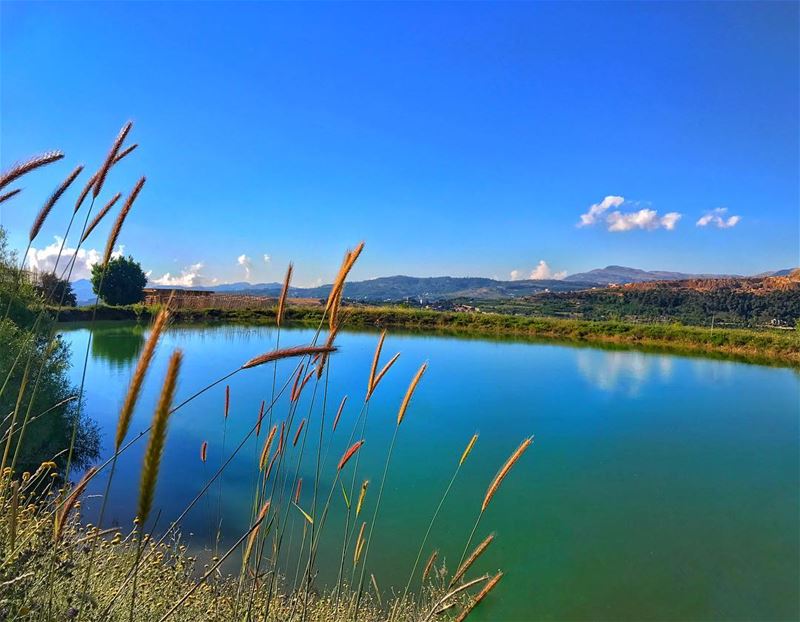 Who wants to join me on my next adventure? 🛶 ... (Baskinta, Lebanon)