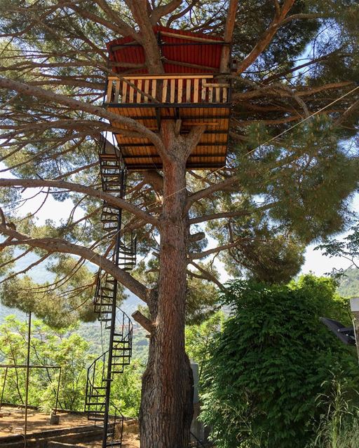 Who wants to live in this Tree house? 😀🍄..  whatsuplebanon  instagram... (Jouret Bedran)
