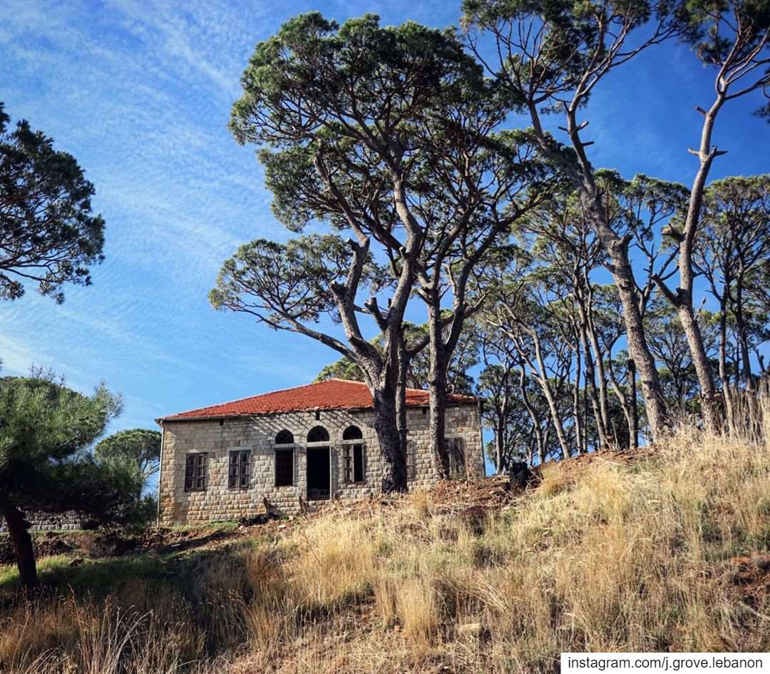 Who would say no to a traditional Lebanese house like this in the Pine...