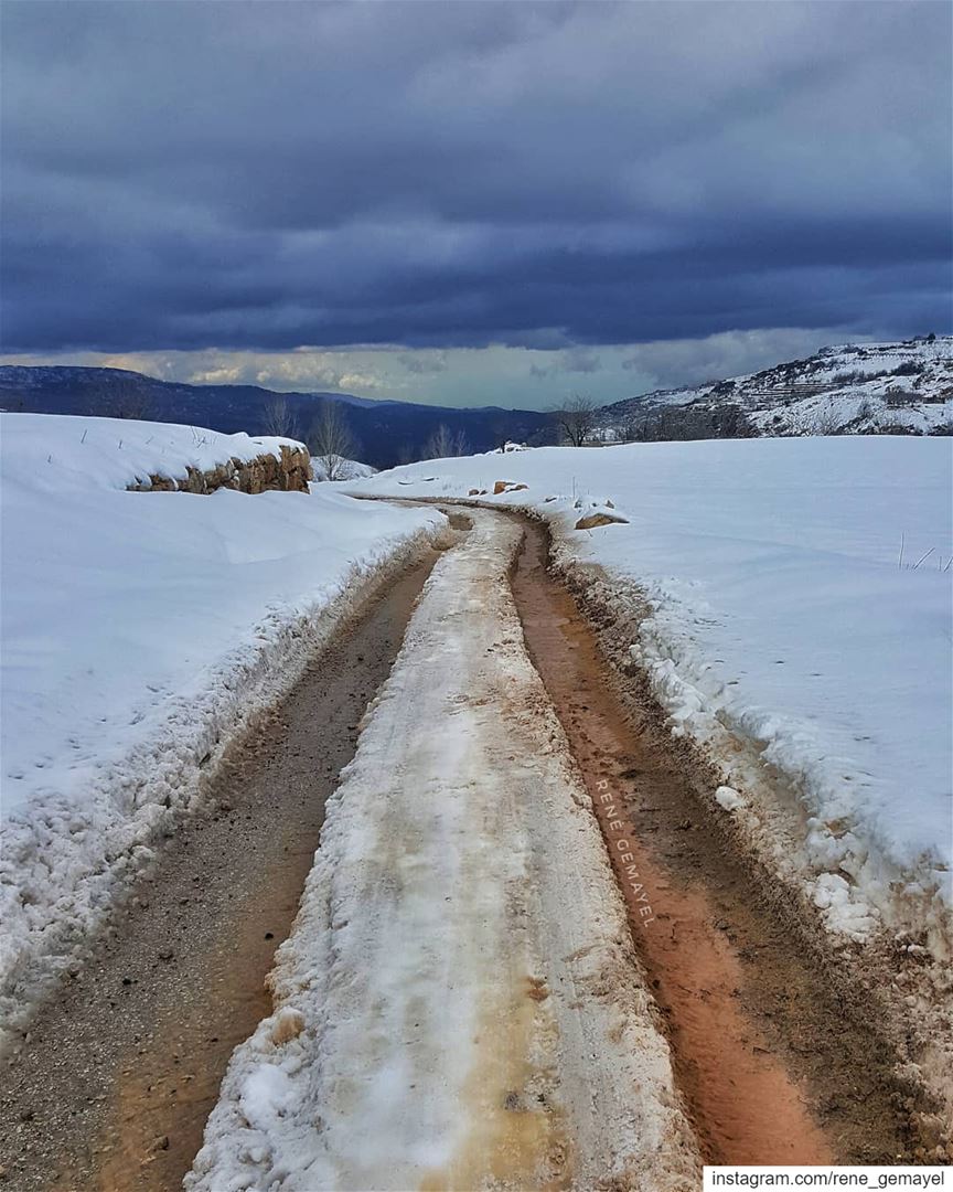 Why follow someone else's tracks when u can make your own ???....... (Mount Lebanon Governorate)